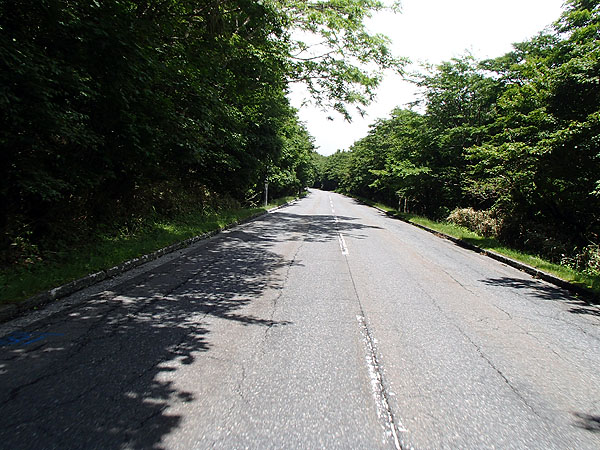 晴れて蒸し暑くなった